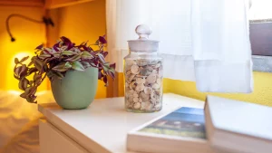 Close-up of a nightstand with a green potted plant and a jar of seashells in a cozy shared room at Moka Surf & Yoga House in Portugal.
