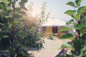 Exterior view of the yurt at Moka Surf House surrounded by greenery and bathed in sunlight, highlighting the natural environment of the house.