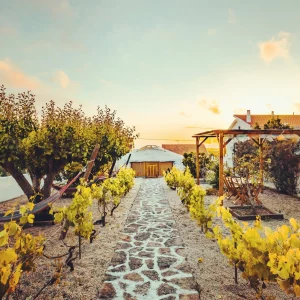 Stone path leading through a vineyard garden to a yurt at sunset, with hammocks and a wooden pergola in Ericeira.